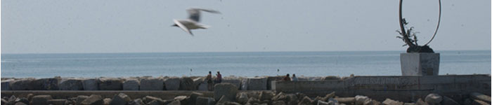 barra6.jpg